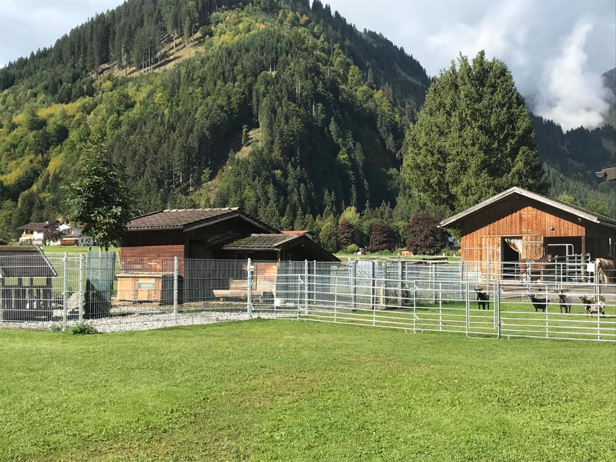Pony-Ziegen-Hasen-Ranch Bichlbach Exterior foto