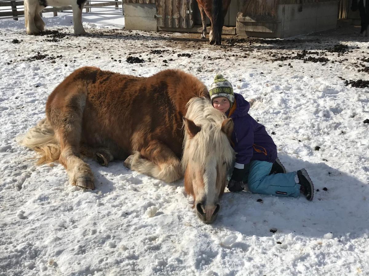 Pony-Ziegen-Hasen-Ranch Bichlbach Exterior foto