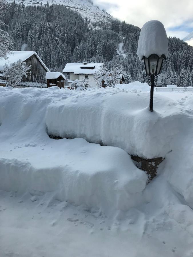 Pony-Ziegen-Hasen-Ranch Bichlbach Exterior foto