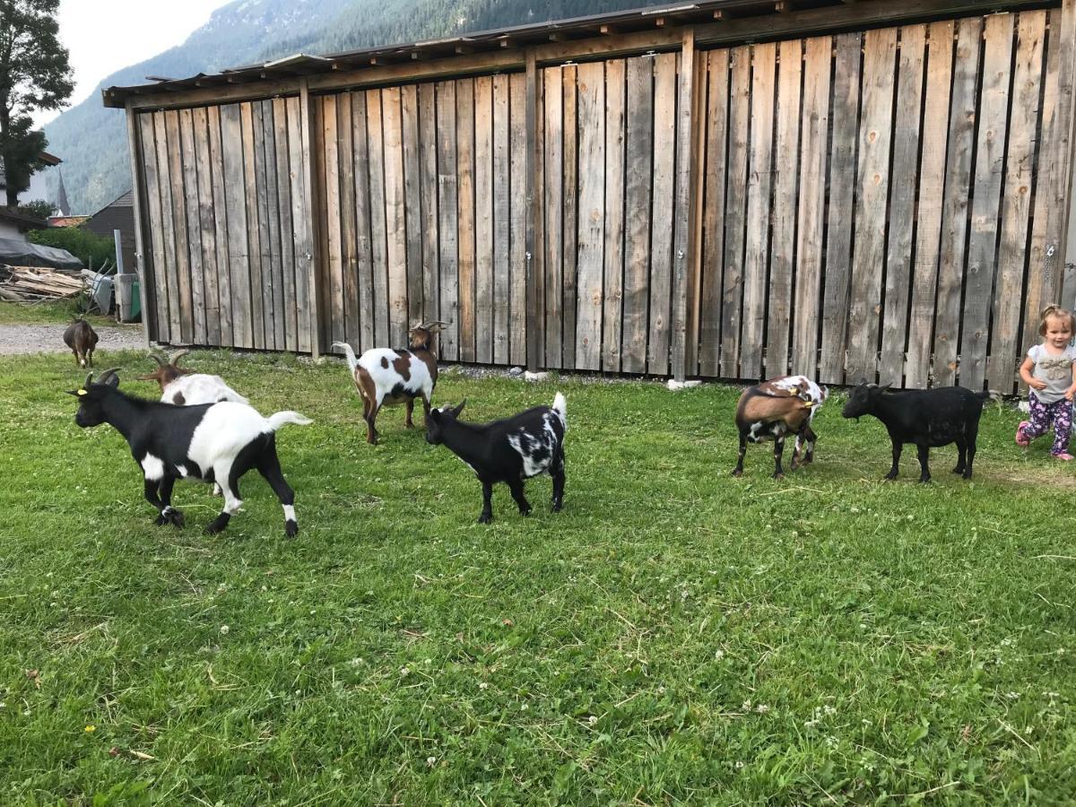 Pony-Ziegen-Hasen-Ranch Bichlbach Exterior foto